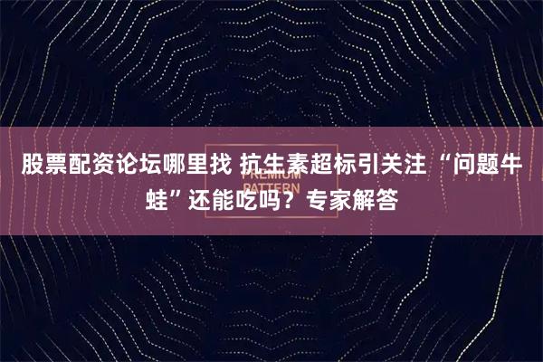 股票配资论坛哪里找 抗生素超标引关注 “问题牛蛙”还能吃吗？专家解答
